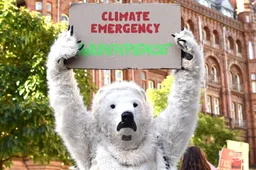Rechter hakt Greenpeace in pan: 667 miljoen boete voor laster