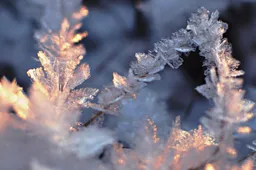 De 5 leukste Europese steden om in de winter te bezoeken