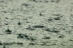Zo kom je de sombere en regenachtige dagen voortaan wel door 