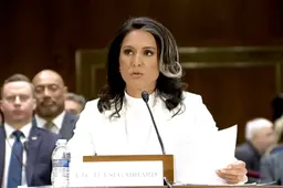 Democraten Proberen Tulsi Gabbard Neer Te Halen: Waarom Ze Zo’n Bedreiging Is