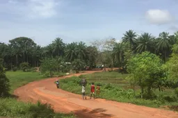 Wut?! Zware crimineel 'Bolle Jos' verschuilt zich in Sierra Leone: dik bevriend met de president!