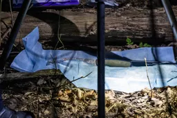 Schiedam geschokt: 13-jarige dood na mesaanval door kansenparel