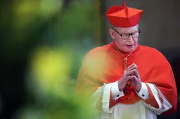 Kardinaal Willem Eijk genoemd als pauskandidaat: Renaissance in zicht voor de Kerk?