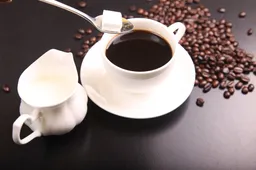 Waar moet nu een goede kop koffie aan voldoen?
