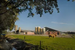 Gestoord! Provincie Noord-Brabant dreigt boeren van hun grond te onteigenen voor natuurherstel