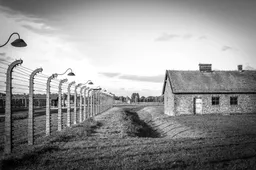 Schokkend: 24 Nederlandse kampbewakers in Auschwitz geïdentificeerd