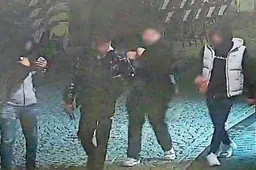 Politie zoekt groep mannen na gruwelijke verkrachting in Maastricht