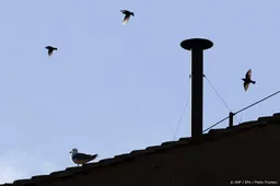 Grote menigte wacht in Vaticaanstad op rook uit Sixtijnse Kapel