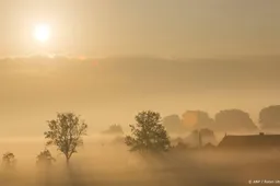 Dichte mist in noorden en oosten van het land