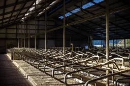 Boeren en natuurclubs kritisch over Limburgse stikstofplannen
