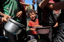 Baas van door VS gesteunde hulporganisatie voor Gaza stapt op