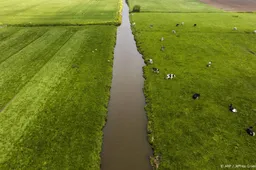 Boeren blijven verhoging stikstofgrens steunen na kritisch advies