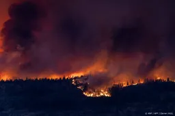 Bosbranden Canada jagen duizenden mensen op de vlucht