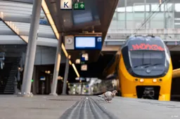 Bonden treffen voorbereidingen voor spoorstaking op dinsdag