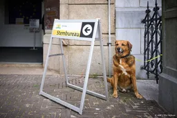 Tweede Kamerverkiezingen zijn op 29 oktober