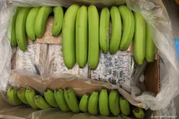 Douane vindt 1100 kilo coke in haven van Vlissingen 
