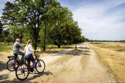 Rijksadviseur: draai bezuiniging nationale parken terug