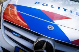 Hulpdiensten zoeken naar barende vrouw in bos bij Rockanje