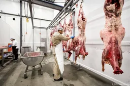 13 Roemenen uitgebuit door uitzendbureau Brabantse vleesindustrie