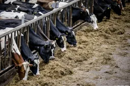 Commissie: lespakket over zuivel is in strijd met reclamecode