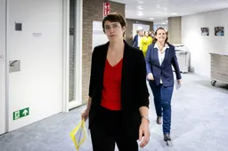 Hertzberger terug in Kamer voor NSC, vervangt minister Jansen