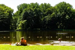 Gezondheidsrisico's 87 zwemlocaties door slechte waterkwaliteit