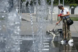 Veel meldingen over dieren in hitte bij meldpunt 144