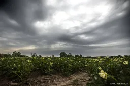 Behalve voor hitte ook waarschuwing voor onweer op woensdag