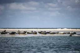 UNESCO wijst opnieuw op risico's voor erfgoedstatus Waddenzee