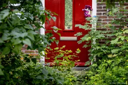Vlaardingse pleegouders verschijnen in oktober in rechtbank