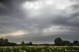 Code geel in groot deel van het land om onweersbuien