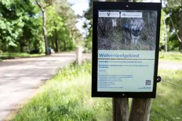 Veel rustiger in speeltuin na bijtincident met mogelijk een wolf