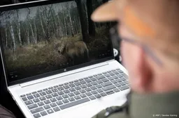 Waarschuwingsborden op Utrechtse Heuvelrug om wolf: mijd het bos