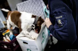 Speciaal postteam neemt ruim 90 kilo drugs in beslag