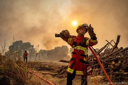 Brandweerlieden nog altijd bezig met grote Franse bosbrand
