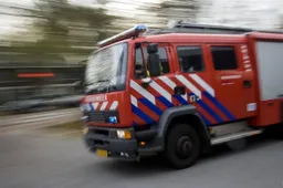 Veertig auto's in brand bij autosloperij in Wernhout