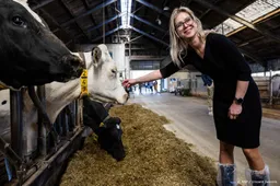 BBB vindt nieuwe regels voor dierwaardigheid niet nodig