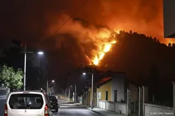 Branden in Spanje verwoesten recordhoeveelheid natuur