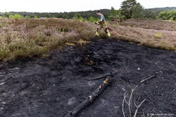 Risico op natuurbranden in hele land op hoogste niveau