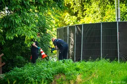 Vorig jaar in Nederland 120 mensen vermoord, 5 minder dan in 2023