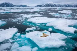 Klimaathysterie slaat door: EenVandaag waarschuwt nu voor -20 graden in Nederland