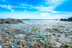 Internationale klimaatelite wil alles voor ons bepalen – maar sluit zélf geen enkel akkoord