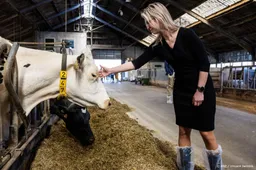 Rechter: Wiersma moet gegevens Gelderse veehouders openbaren