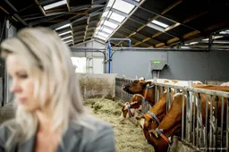 Wiersma zal gegevens boerenbedrijven binnen twee weken openbaren