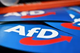 AfD’er Schulz: “Meer kinderen krijgen, grenzen dicht, remigratie – anders verliezen we Duitsland”