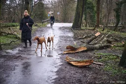 Zaterdag code geel in westen wegens verwachte zware windstoten 