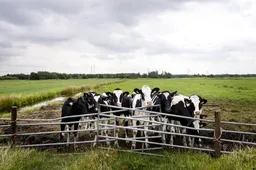 Plannen rechtse partijen niet goed voor klimaat en stikstof
