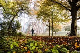 Voor het eerst in bijna een halfjaar nergens warmer dan 15 graden