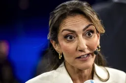 Ook VVD ziet 'inmiddels' meerwaarde in verbod op eenmanspartijen