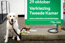 Ipsos: opkomst tot nu toe iets lager dan bij vorige verkiezingen